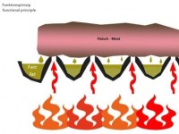 wattal sxara animation 1_4